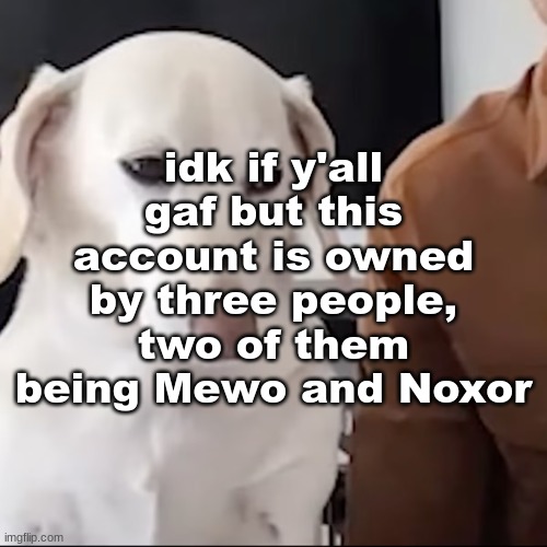 uh | idk if y'all gaf but this account is owned by three people, two of them being Mewo and Noxor | image tagged in uh | made w/ Imgflip meme maker