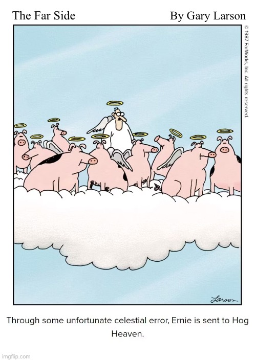 The Far Side; By Gary Larson | image tagged in comics,the far side,hog heaven | made w/ Imgflip meme maker