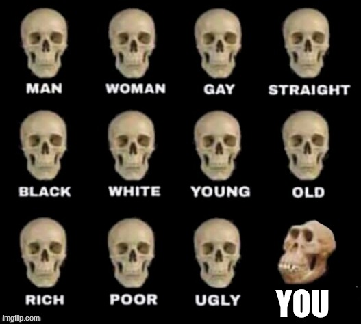 idiot skull | YOU | image tagged in idiot skull | made w/ Imgflip meme maker