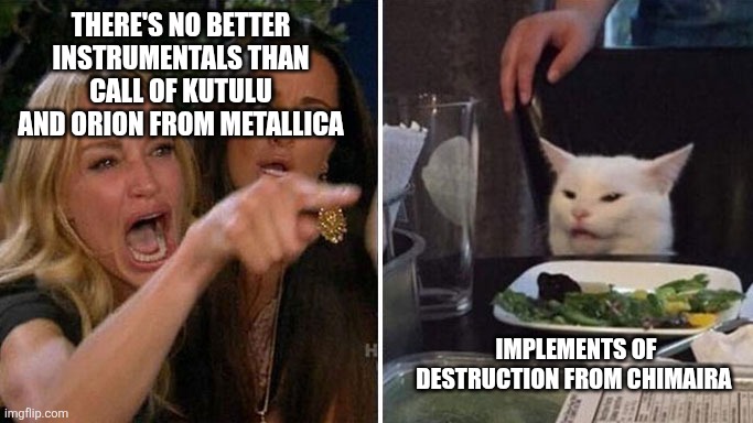 womanyellingatcat | THERE'S NO BETTER INSTRUMENTALS THAN CALL OF KUTULU AND ORION FROM METALLICA; IMPLEMENTS OF DESTRUCTION FROM CHIMAIRA | image tagged in womanyellingatcat | made w/ Imgflip meme maker
