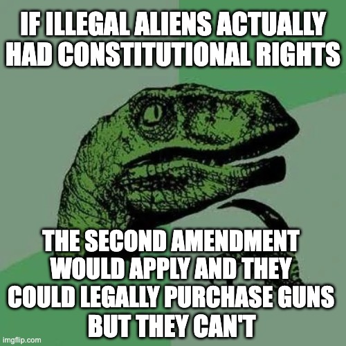 Liberals and SCOTUS never use logic | IF ILLEGAL ALIENS ACTUALLY HAD CONSTITUTIONAL RIGHTS; THE SECOND AMENDMENT WOULD APPLY AND THEY COULD LEGALLY PURCHASE GUNS; BUT THEY CAN'T | image tagged in raptor asking questions,illegal immigration | made w/ Imgflip meme maker