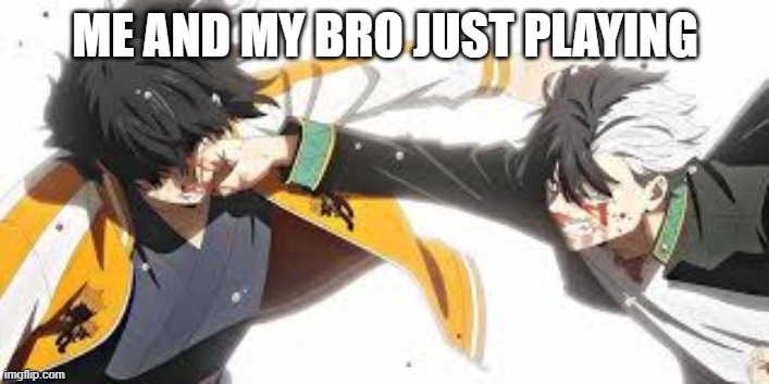 that one special friendship | ME AND MY BRO JUST PLAYING | made w/ Imgflip meme maker