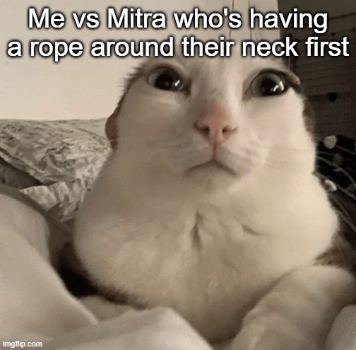 goober | Me vs Mitra who's having a rope around their neck first | image tagged in goober | made w/ Imgflip meme maker