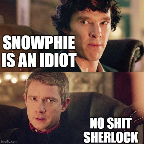 (mod note: we know.) | SNOWPHIE IS AN IDIOT; NO SHIT SHERLOCK | image tagged in no sh t sherlock bbc | made w/ Imgflip meme maker