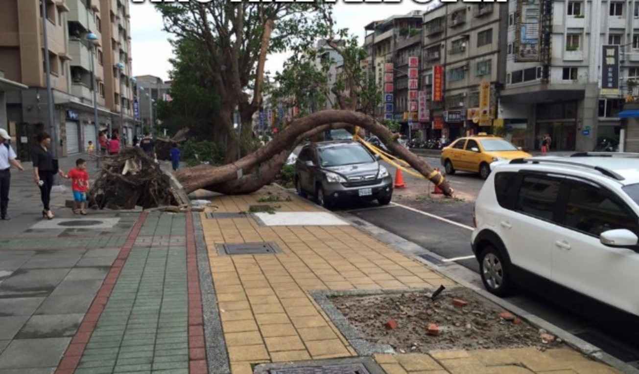 curved tree on car Blank Meme Template