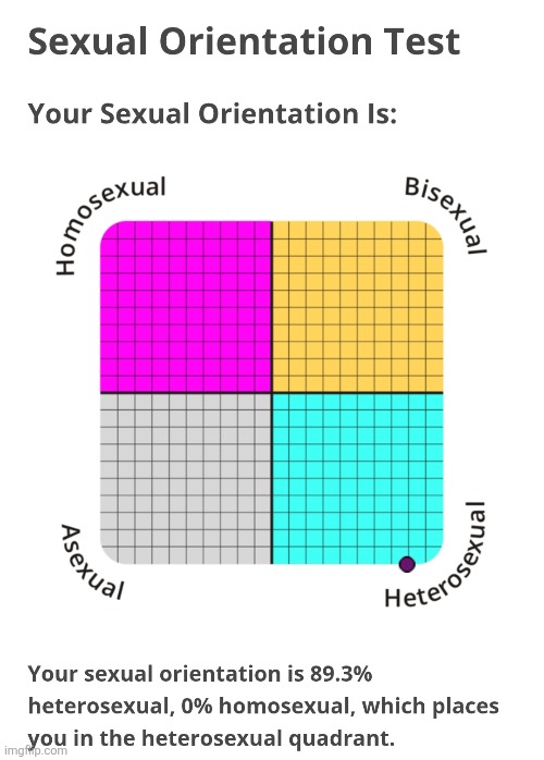 i like women (https://www.idrlabs.com/sexual-orientation/test.php) | made w/ Imgflip meme maker