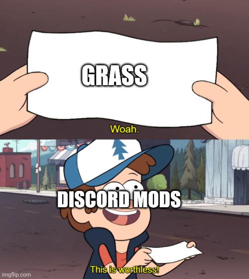 Discord mods be like: | GRASS; DISCORD MODS | image tagged in this is worthless,discord moderator | made w/ Imgflip meme maker
