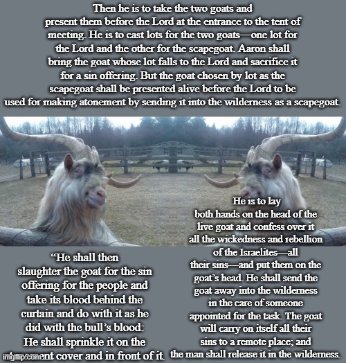 Biblical literalism and false dichotomies, or why we shouldn't blame the "other" | Then he is to take the two goats and present them before the Lord at the entrance to the tent of meeting. He is to cast lots for the two goats—one lot for the Lord and the other for the scapegoat. Aaron shall bring the goat whose lot falls to the Lord and sacrifice it for a sin offering. But the goat chosen by lot as the scapegoat shall be presented alive before the Lord to be used for making atonement by sending it into the wilderness as a scapegoat. He is to lay both hands on the head of the live goat and confess over it all the wickedness and rebellion of the Israelites—all their sins—and put them on the goat’s head. He shall send the goat away into the wilderness in the care of someone appointed for the task. The goat will carry on itself all their sins to a remote place; and the man shall release it in the wilderness. “He shall then slaughter the goat for the sin offering for the people and take its blood behind the curtain and do with it as he did with the bull’s blood: He shall sprinkle it on the atonement cover and in front of it. | image tagged in ridiculously photogenic goat,bible,blame,sacrifice | made w/ Imgflip meme maker