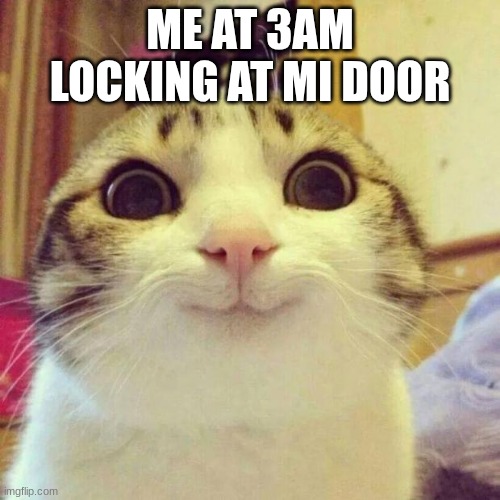 ghvyhf | ME AT 3AM LOCKING AT MI DOOR | image tagged in memes,smiling cat | made w/ Imgflip meme maker