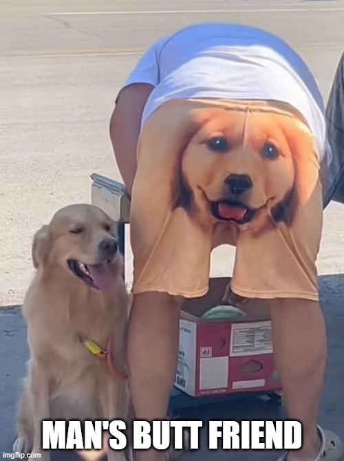Dog shorts | MAN'S BUTT FRIEND | image tagged in dogs | made w/ Imgflip meme maker