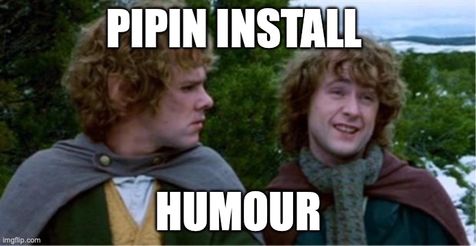 pip install lotr | PIPIN INSTALL; HUMOUR | image tagged in merry and pippin | made w/ Imgflip meme maker