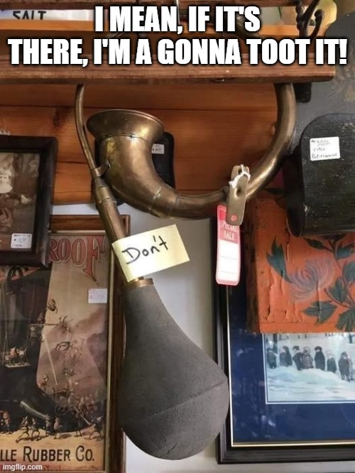 Don't | I MEAN, IF IT'S THERE, I'M A GONNA TOOT IT! | image tagged in funny,memes | made w/ Imgflip meme maker