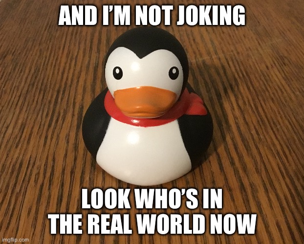 I’M NOT KIDDING | AND I’M NOT JOKING; LOOK WHO’S IN THE REAL WORLD NOW | image tagged in cedric the penguin | made w/ Imgflip meme maker