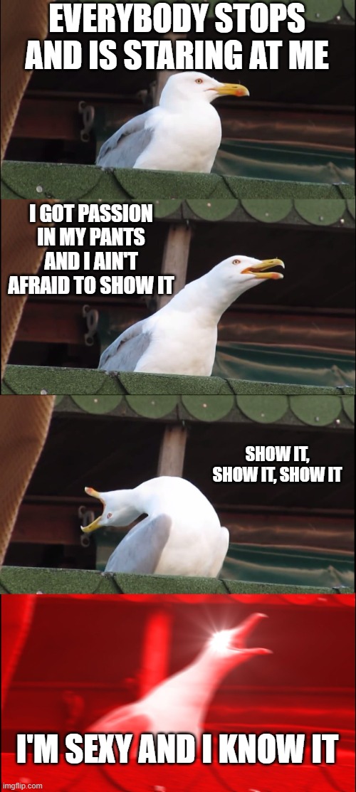 LMFAO Sang... | EVERYBODY STOPS AND IS STARING AT ME; I GOT PASSION IN MY PANTS AND I AIN'T AFRAID TO SHOW IT; SHOW IT, SHOW IT, SHOW IT; I'M SEXY AND I KNOW IT | image tagged in memes,inhaling seagull | made w/ Imgflip meme maker