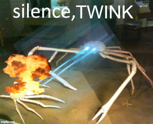 SILENCE | TWINK | image tagged in silence crab | made w/ Imgflip meme maker