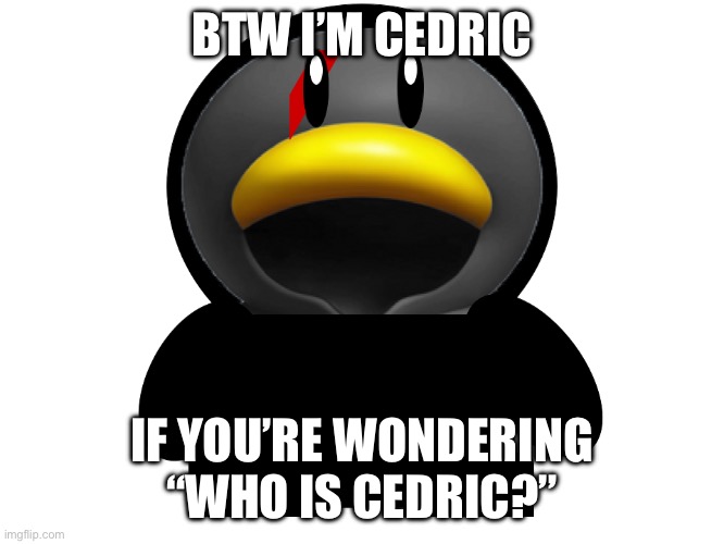 JUST A REMINDER | BTW I’M CEDRIC; IF YOU’RE WONDERING “WHO IS CEDRIC?” | image tagged in cedric the penguin | made w/ Imgflip meme maker