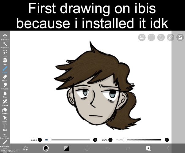 Im probably just being dramatic but why do the controls look so hard to learn i cant find the rotate thing | First drawing on ibis because i installed it idk | made w/ Imgflip meme maker