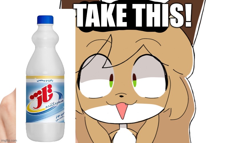 Averi fiddleafox pointing | TAKE THIS! | image tagged in averi fiddleafox pointing | made w/ Imgflip meme maker