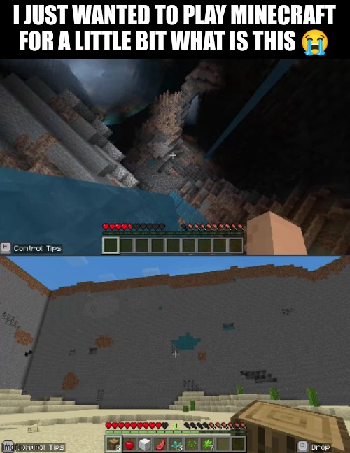 I SWEAR I DIDNT USE SPECIFIC SEEDS | I JUST WANTED TO PLAY MINECRAFT FOR A LITTLE BIT WHAT IS THIS 😭 | image tagged in memes,funny,cursed | made w/ Imgflip meme maker