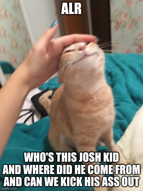 Like vro where tf did you come from????? | ALR; WHO'S THIS JOSH KID
AND WHERE DID HE COME FROM
AND CAN WE KICK HIS ASS OUT | image tagged in cat pat | made w/ Imgflip meme maker