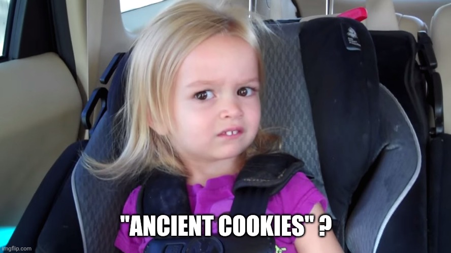 girl in car seat | "ANCIENT COOKIES" ? | image tagged in girl in car seat | made w/ Imgflip meme maker