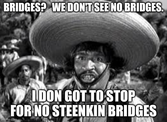 Mexican navy | BRIDGES?   WE DON'T SEE NO BRIDGES. I DON GOT TO STOP FOR NO STEENKIN BRIDGES | image tagged in badges | made w/ Imgflip meme maker