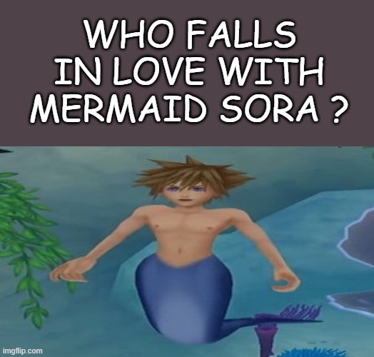 who falls in love with mermaid sora ? Blank Meme Template