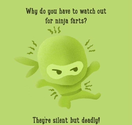 Ninja Fart | image tagged in fart jokes,farts,ninja,bad joke,funny memes,fun | made w/ Imgflip meme maker