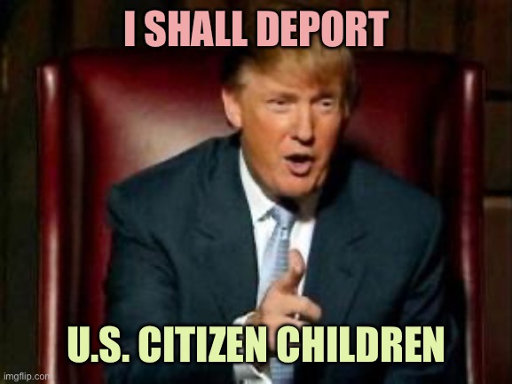 Donald Trump | I SHALL DEPORT; U.S. CITIZEN CHILDREN | image tagged in donald trump,memes | made w/ Imgflip meme maker