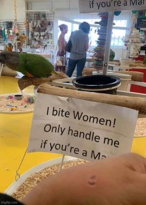 Bird | image tagged in bird,bite,woman | made w/ Imgflip meme maker