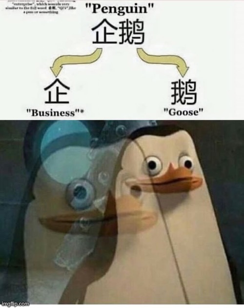 Penguin | image tagged in madagascar meme,business,goose,japanese | made w/ Imgflip meme maker