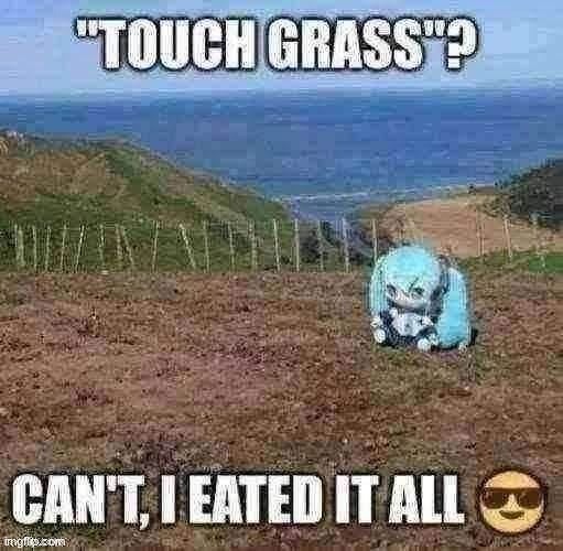 Touch grass? Can't, I eated it all | image tagged in touch grass can't i eated it all | made w/ Imgflip meme maker