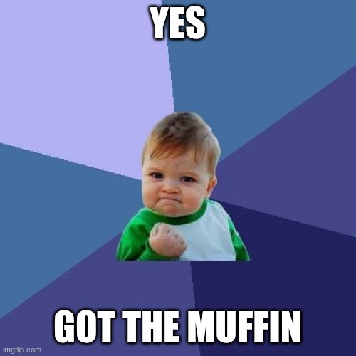 YES GOT THE MUFFIN | image tagged in memes,success kid | made w/ Imgflip meme maker