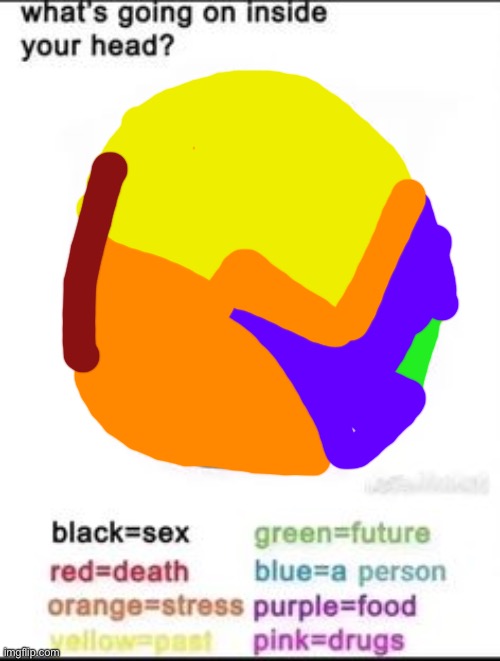 What's going on inside your head? | image tagged in what's going on inside your head | made w/ Imgflip meme maker