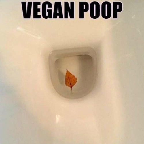 Vegan Poop | image tagged in vegans,poop,leaf,veganism,bathroom humor,funny | made w/ Imgflip meme maker