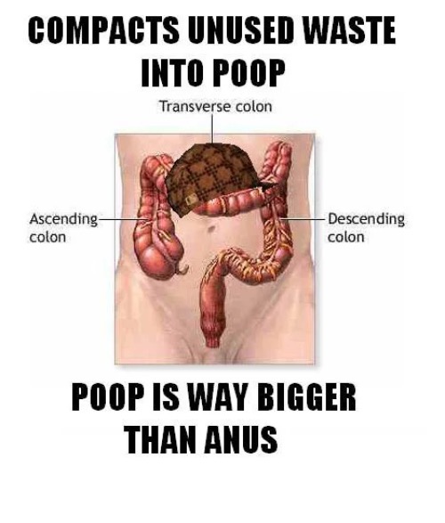 Too Big | image tagged in constipation,poop,butt,funny memes,relatable memes,ibs | made w/ Imgflip meme maker