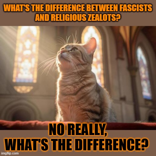 This #lolcat wonders why fascist leaders are worshipped by their flock | WHAT'S THE DIFFERENCE BETWEEN FASCISTS
AND RELIGIOUS ZEALOTS? NO REALLY,
WHAT'S THE DIFFERENCE? | image tagged in fascism,religious,catholicism,lolcat,sheeple | made w/ Imgflip meme maker