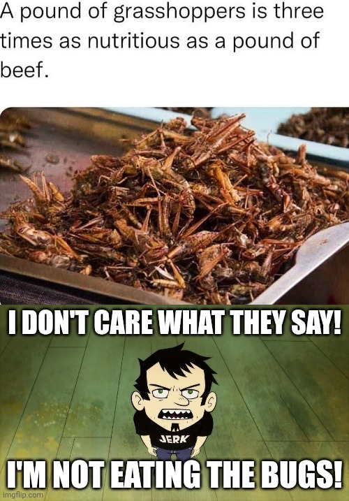 I'm NOT eating the bugs! I REFUSE! | I DON'T CARE WHAT THEY SAY! I'M NOT EATING THE BUGS! | image tagged in i don t care who the irs sends | made w/ Imgflip meme maker