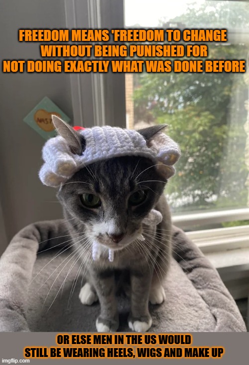 This #lolcat wonders why conservatives are against change but changed nonetheless | FREEDOM MEANS 'FREEDOM TO CHANGE 
WITHOUT BEING PUNISHED FOR NOT DOING EXACTLY WHAT WAS DONE BEFORE; OR ELSE MEN IN THE US WOULD STILL BE WEARING HEELS, WIGS AND MAKE UP | image tagged in change,conservatives,conservative hypocrisy,lolcat,founding fathers | made w/ Imgflip meme maker