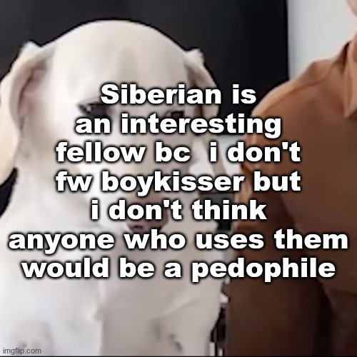 uh | Siberian is an interesting fellow bc  i don't fw boykisser but i don't think anyone who uses them would be a pedophile | image tagged in uh | made w/ Imgflip meme maker