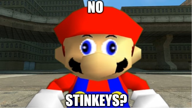 SMG4 Mario derp reaction | NO; STINKEYS? | image tagged in smg4 mario derp reaction | made w/ Imgflip meme maker