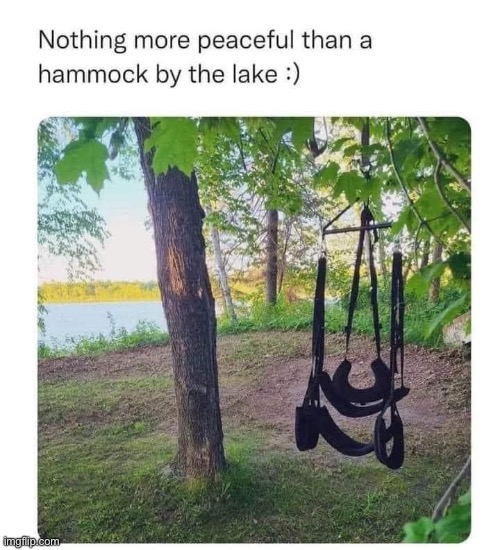 Peaceful swinging | image tagged in swing,sex,lake,hammock | made w/ Imgflip meme maker