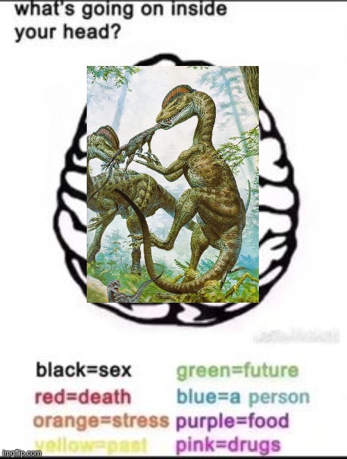 Hell yeah | image tagged in what's going on inside your head | made w/ Imgflip meme maker