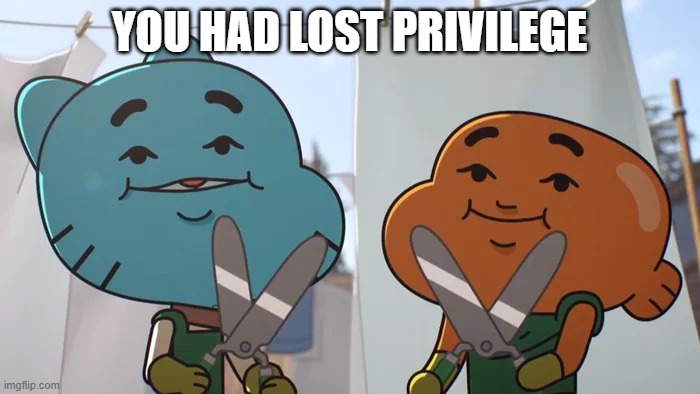 lost privileges | YOU HAD LOST PRIVILEGE | image tagged in lost privileges | made w/ Imgflip meme maker