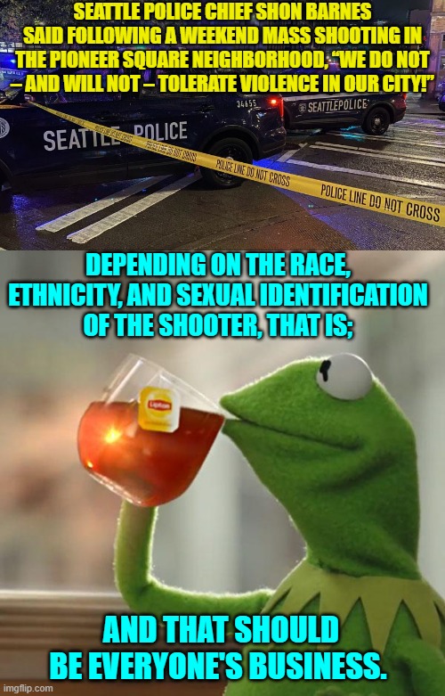 Seattle 'law enforcement' is so leftist WOKE in nature that it might as well not exist. | SEATTLE POLICE CHIEF SHON BARNES SAID FOLLOWING A WEEKEND MASS SHOOTING IN THE PIONEER SQUARE NEIGHBORHOOD, “WE DO NOT – AND WILL NOT – TOLERATE VIOLENCE IN OUR CITY!”; DEPENDING ON THE RACE, ETHNICITY, AND SEXUAL IDENTIFICATION OF THE SHOOTER, THAT IS;; AND THAT SHOULD BE EVERYONE'S BUSINESS. | image tagged in but that's none of my business | made w/ Imgflip meme maker
