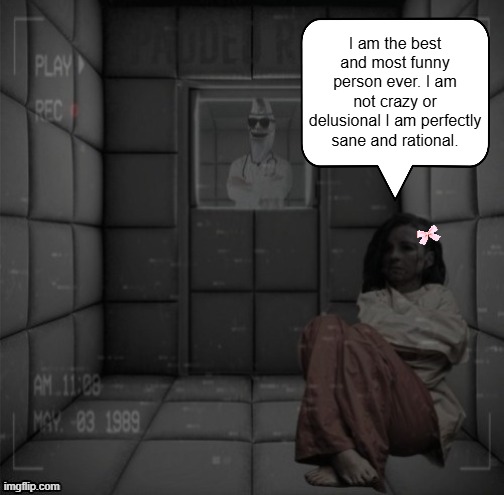 Memeus lore: | I am the best and most funny person ever. I am not crazy or delusional I am perfectly sane and rational. | image tagged in padded cell | made w/ Imgflip meme maker