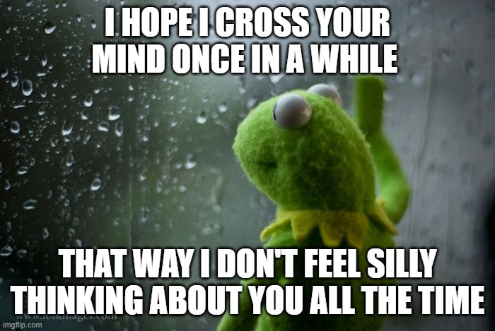 kermit window | I HOPE I CROSS YOUR MIND ONCE IN A WHILE; THAT WAY I DON'T FEEL SILLY THINKING ABOUT YOU ALL THE TIME | image tagged in kermit window | made w/ Imgflip meme maker