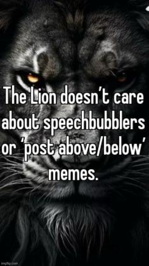 The Lion doesn’t care | image tagged in the lion doesn t care | made w/ Imgflip meme maker