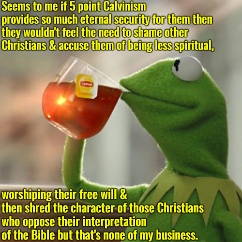 But That's None Of My Business | Seems to me if 5 point Calvinism provides so much eternal security for them then they wouldn't feel the need to shame other Christians & accuse them of being less spiritual, worshiping their free will & then shred the character of those Christians who oppose their interpretation of the Bible but that's none of my business. | image tagged in memes,but that's none of my business,kermit the frog | made w/ Imgflip meme maker