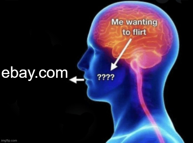 Me wanting to flirt | ebay.com | image tagged in me wanting to flirt | made w/ Imgflip meme maker